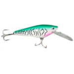 Señuelo BNV mojarra grande