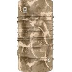 Cuellito Payo Breaking arena