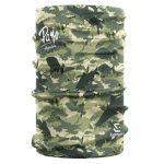 Cuellito Payo Especies verde