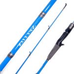 Caña Shimano Sellus cast