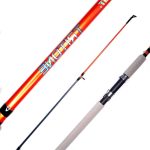 Caña Spinit Tritone 2.10m